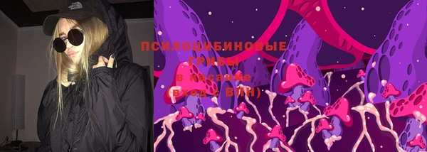 скорость Алексин