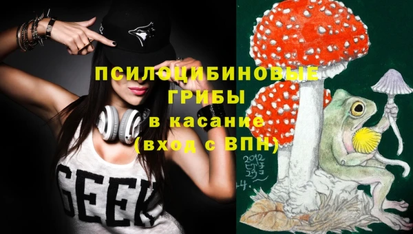 PSILOCYBIN Алзамай