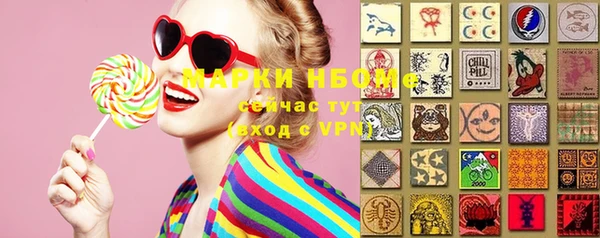 PSILOCYBIN Алзамай