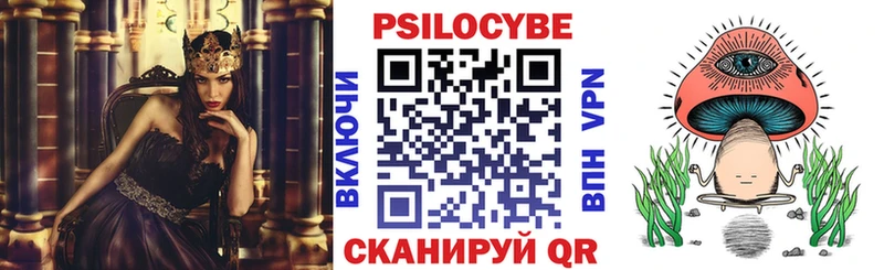Галлюциногенные грибы Psilocybe  что такое   Брюховецкая 