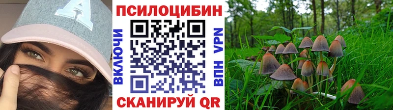 Галлюциногенные грибы MAGIC MUSHROOMS Брюховецкая